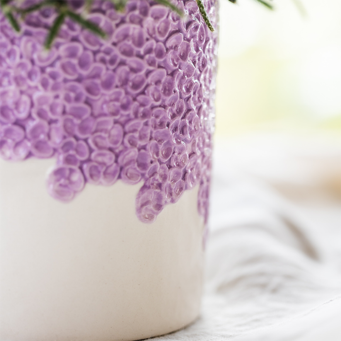 Kolibri Orchids | Paarse Freeride Niagara Falls orchidee + Bloom sierpot– Ø12cm | bloeiende kamerplant