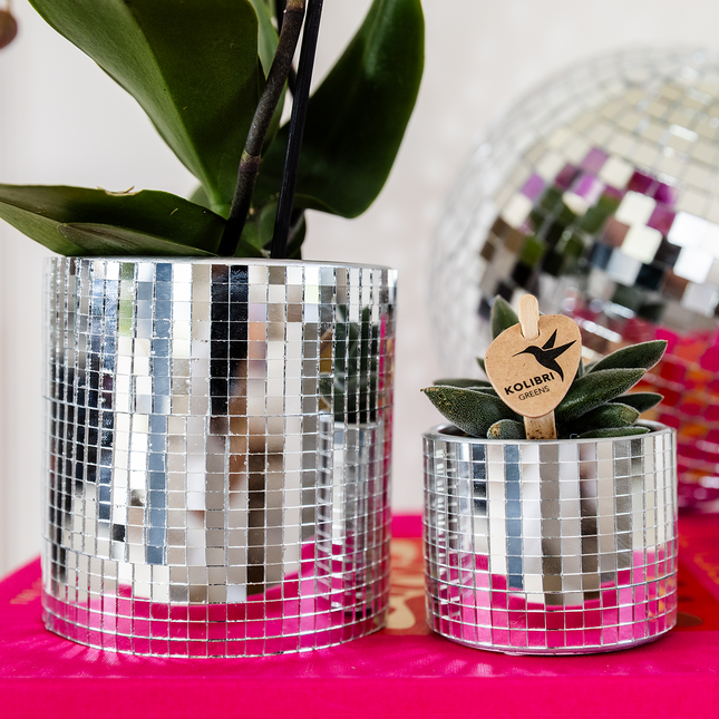 Kolibri Home - Maceta decorativa Disco - Ø9cm