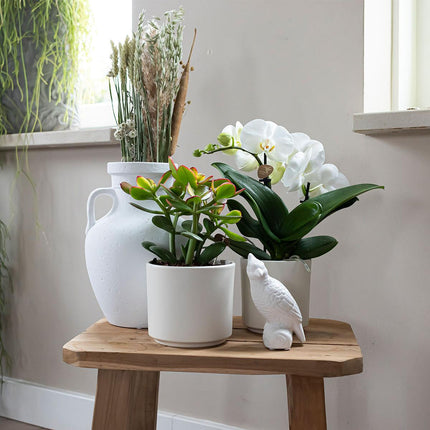 Kolibri Home | Doniczka Simplicity - Ceramiczna doniczka dekoracyjna - Biała - 9 cm