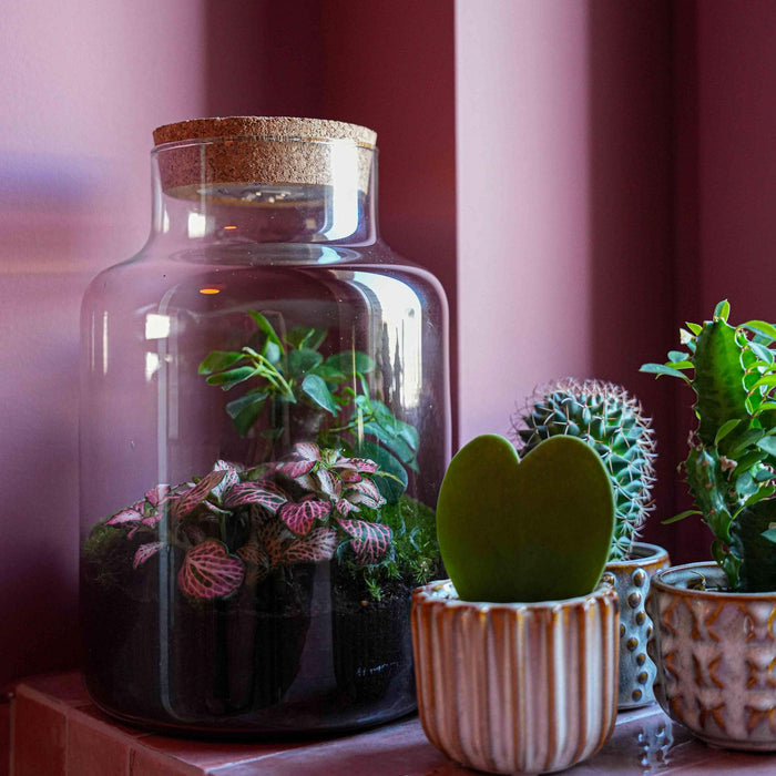 'LOVE MOM' terrarium Little Milky + gegraveerde kurk met licht - Fles terrarium DIY kit - Ø17cm - ↕25 cm - Moederdag