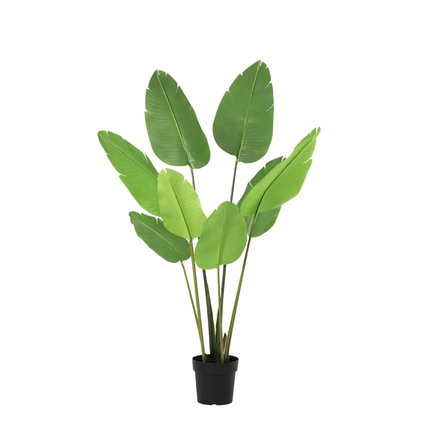 Sztuczna roślina Strelitzia Nicolai - 155cm