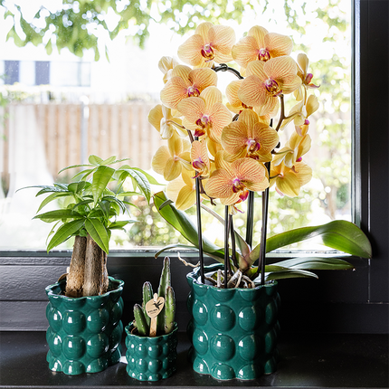 Kolibri Home | Cotton Shine decorative pot - Green - Ø6cm