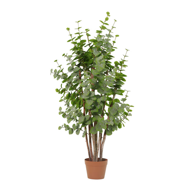 Albero di eucalipto artificiale verde - ↕120 cm