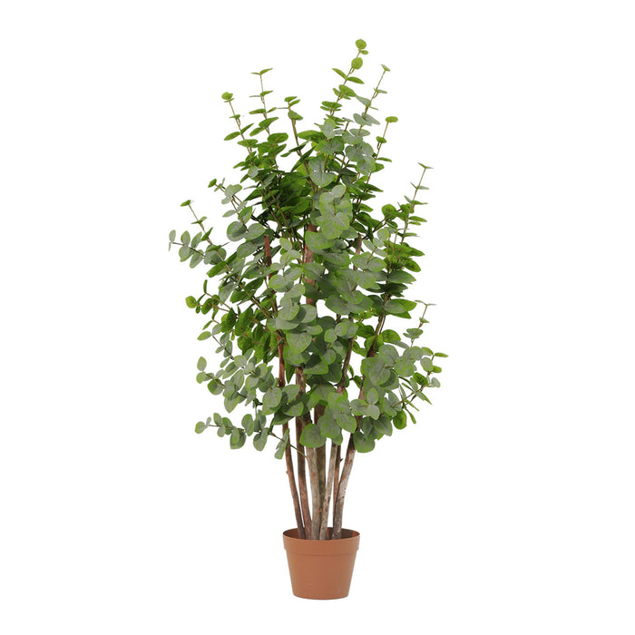 Eucalyptus artificiel vert - ↕120 cm