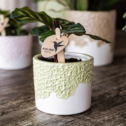 Kolibri Home | Doniczka dekoracyjna Bloom - zielona - Ø9 cm