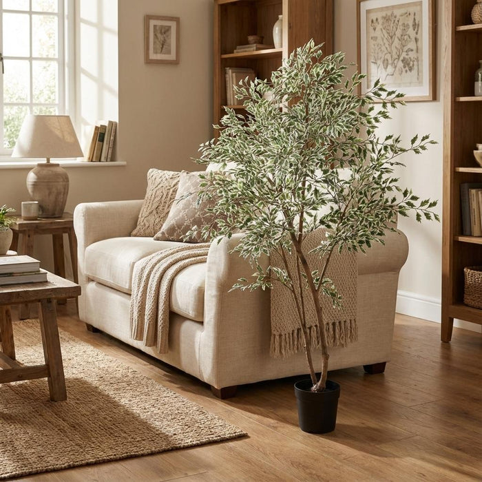 Kunstplant Ficus benjamina variegata - ↕185cm