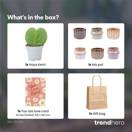Gift Set - Love Set - Heart-shaped plant, pot, greeting card & gift bag