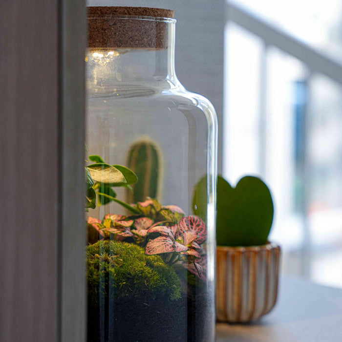 'LOVE MOM' terrarium Little Milky + gegraveerde kurk met licht - Fles terrarium DIY kit - Ø17cm - ↕25 cm - Moederdag
