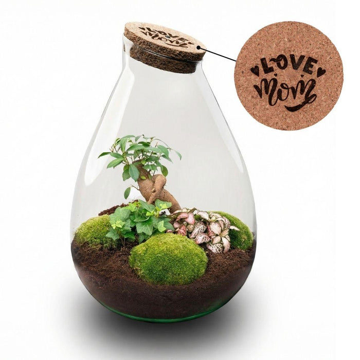 'LOVE MOM' terrarium Drop XL + gegraveerde kurk - Fles terrarium DIY kit – Ø24cm - ↕37cm - Moederdag