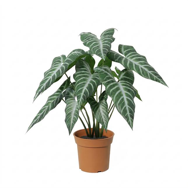 Pianta artificiale Alocasia polly - ↕49cm