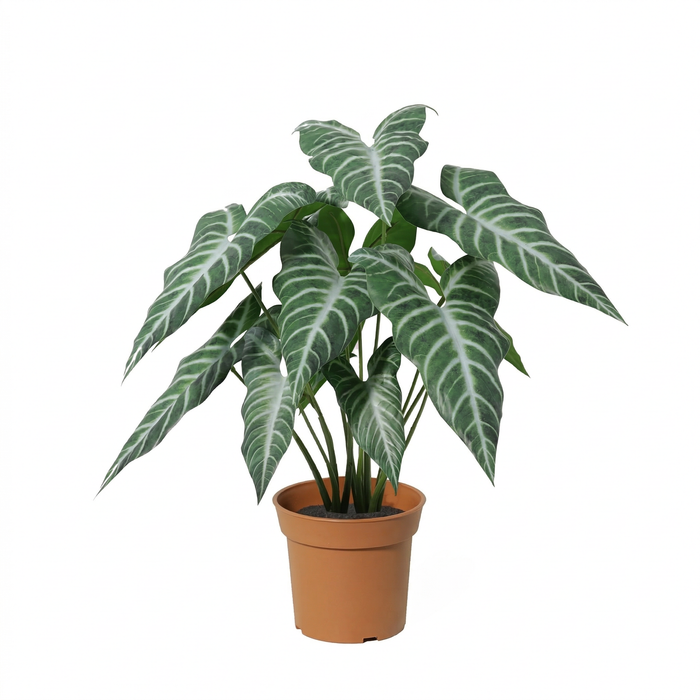 Plante artificielle Alocasia polly - ↕49cm