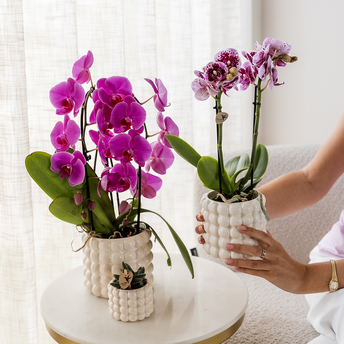 Kolibri Home | Poppy sierpot - White - Ø12cm