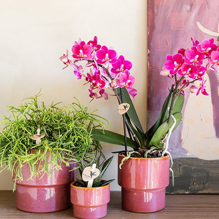 Kolibri Home | Timeless sierpot - Roze - Ø9 cm