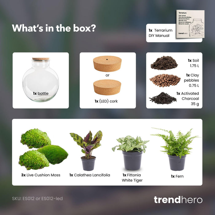 DIY Planten terrarium (met verlichting) - Bolder Bob - Ø 31 cm ↑ 30 cm