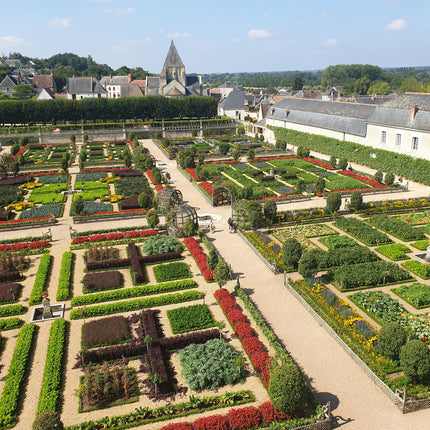 Buxus Haag - BetterBuxus Babylon Beauty - Resistant tegen de Buxus schimmel - 1 strekkende meter - ↕30-35cm - Ø13cm - 6x