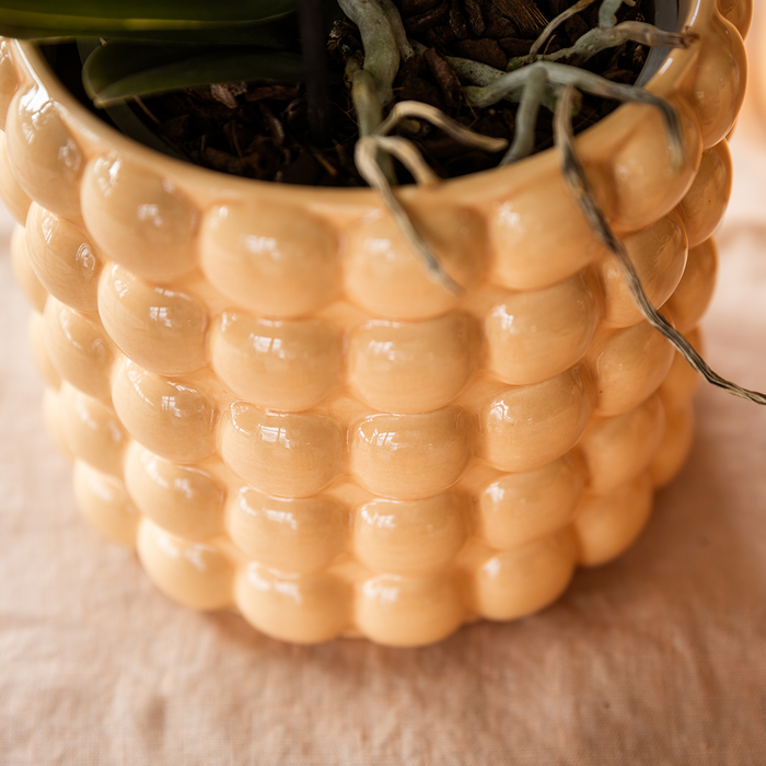 Kolibri Home | Poppy sierpot - Peach - Ø12cm