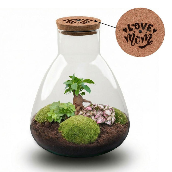 'LOVE MOM' terrarium Sam + gegraveerde kurk met licht - Fles terrarium DIY kit - Ø24.5cm - ↕30cm - Moederdag