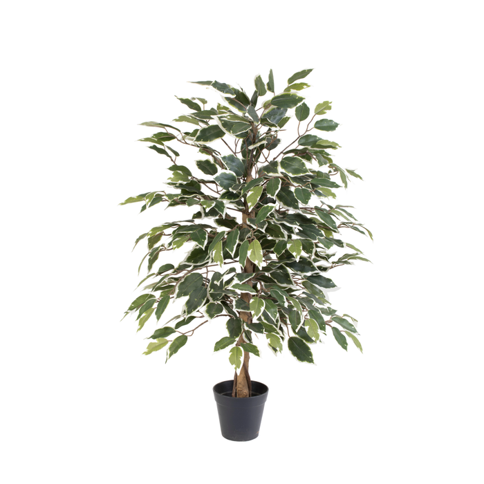Plante artificielle Ficus benjamina variegata - ↕85cm