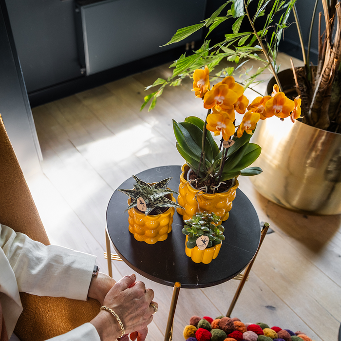 Kolibri Home | Retro Shine sierpot - Yellow - Ø9cm