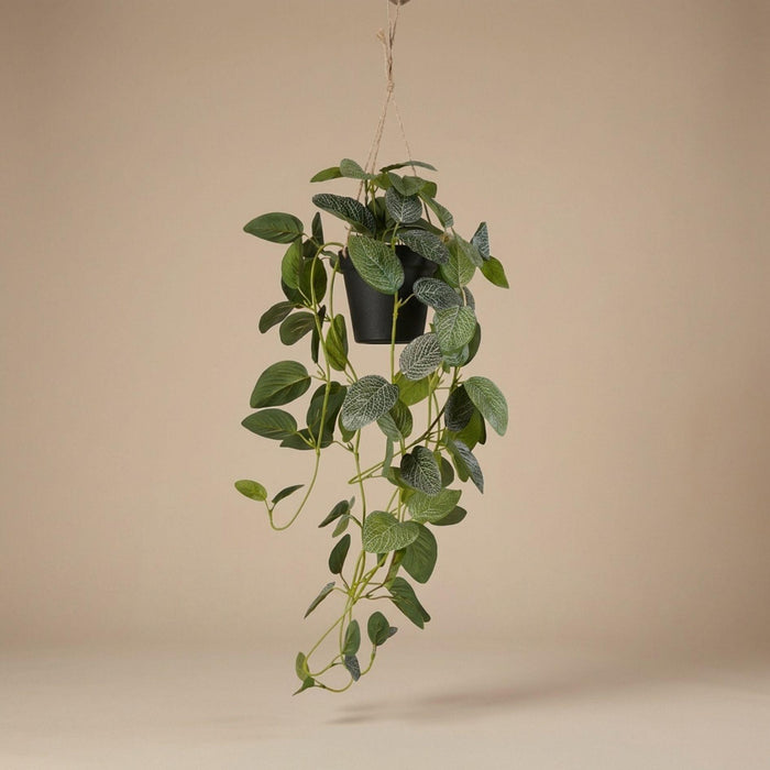 Fittonia artificielle - plante suspendue en pot - ↕70 cm