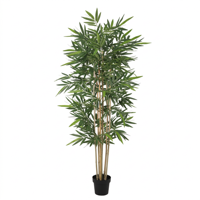 Plante de bambou artificielle - ↕200 cm