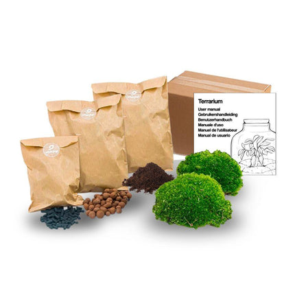 Terrarium pour plantes - Recharge - Kit de démarrage - À faire soi-même - Taille S/M