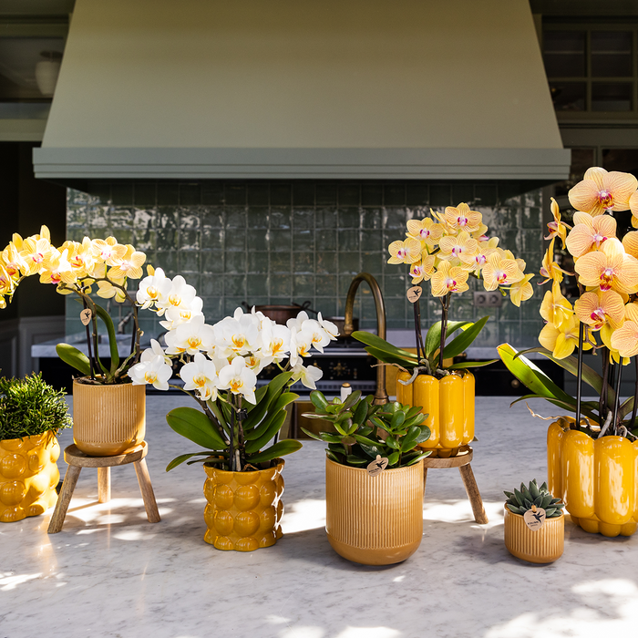 Kolibri Home | Retro Shine sierpot - Yellow - Ø9cm