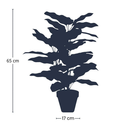 Artificial Calathea plant in pot - ↕65cm
