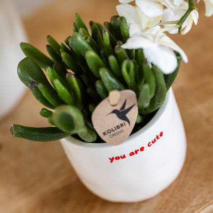 Kolibri Orchids | Coffret cadeau "Love you" | Orchidée Phalaenopsis rouge Congo et plante verte dans des pots décoratifs love sur plateau Cloud