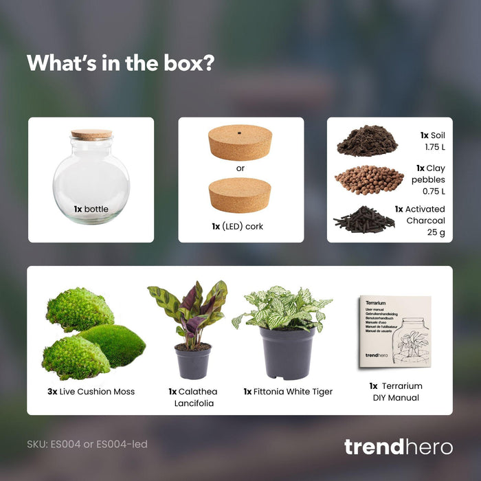 DIY Planten terrarium (met licht) - Teddy - Ø 25 cm ↑ 26,5 cm - Met LED-kurk