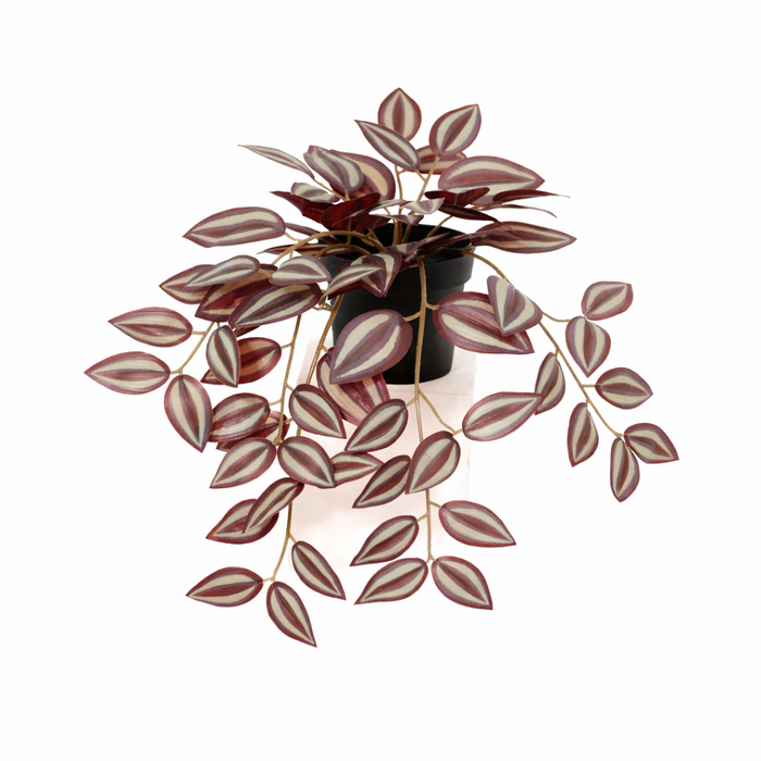 Plante artificielle Tradescantia - ↕32cm