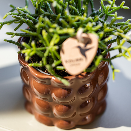 Kolibri Home | Cotton Shine decorative pot - Brown - Ø6cm