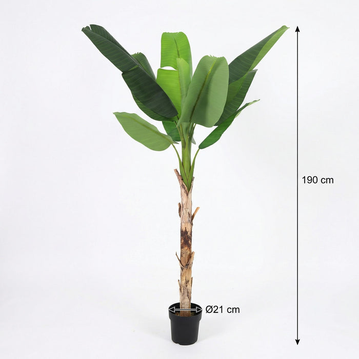 Kunstplant Bananenplant Musa - ↕190cm