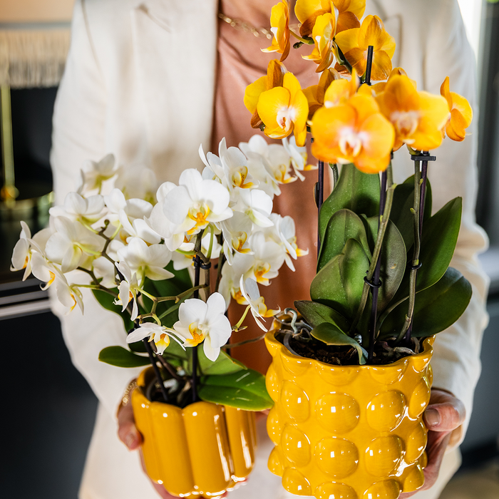 Kolibri Home | Cotton Shine sierpot - Yellow - Ø12cm