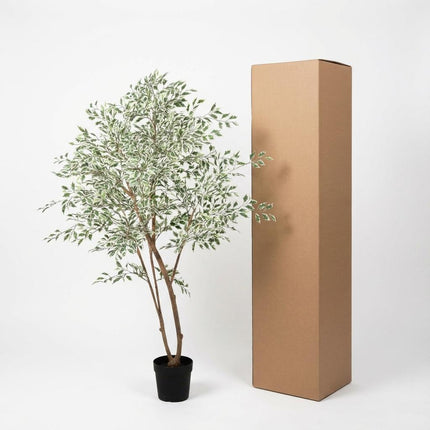 Kunstplant Ficus benjamina variegata - ↕185cm