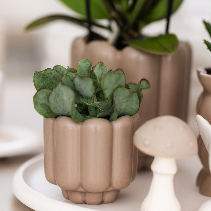 Kolibri Home | Retro sierpot - Sand - Ø6cm