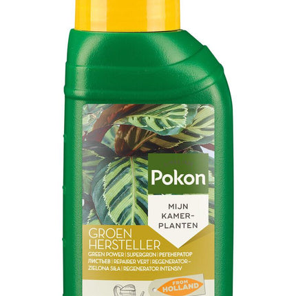 Zielony Restorer - 250ML
