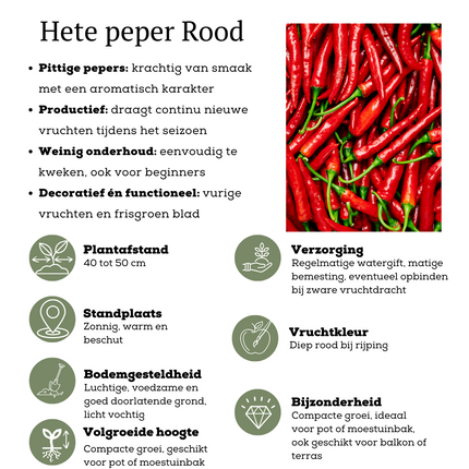 Rode plukgroente mix van 3 planten - Cherry tomaat - Rode snack paprika - Rode hete peper plant - ↕45cm - Ø14cm