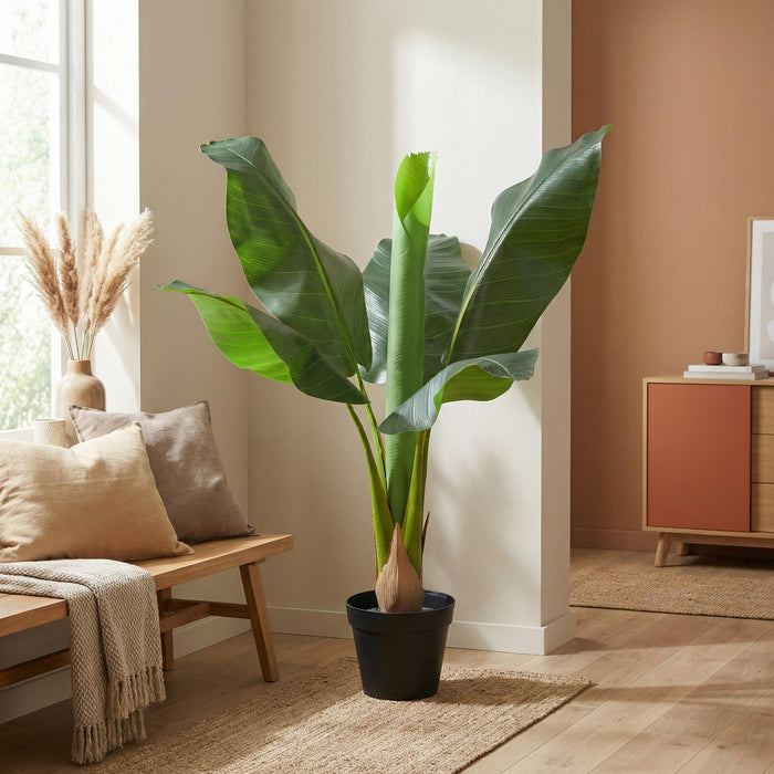Kunstplant Bananenplant Musa - ↕80cm