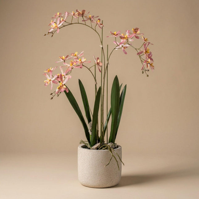 Artificial Renanthera Orchid Pink in pot - ↕56cm