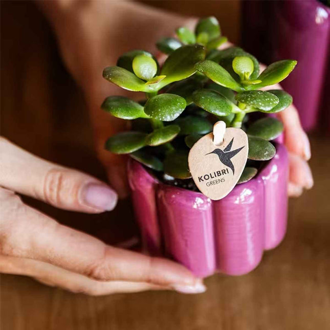 Kolibri Home | Retro blomkruka - Lila - Ø6cm