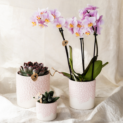 Kolibri Home | Bloom decorative pot - Pink - Ø6cm