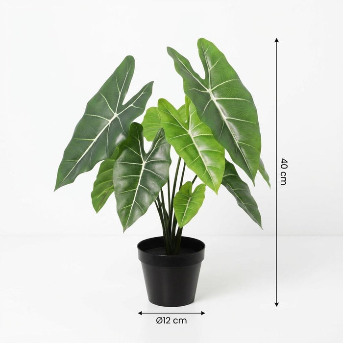 Kunstplant Alocasia Polly - ↕40cm