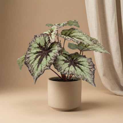 Artificial Begonia plant in pot - ↕26 cm