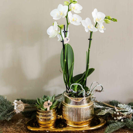 Kolibri Home | Allure Shiny sierpot - Goud - Ø9cm