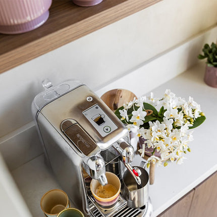 Kolibri Orchids | Witte Nazaré orchidee + Horizon sierpot wit – potmaat Ø9cm