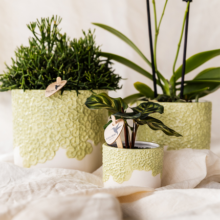 Kolibri Home | Doniczka dekoracyjna Bloom - zielona - Ø12 cm