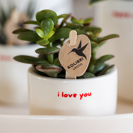 Kolibri Home | Doniczka dekoracyjna "Kocham Cię" - Ø6cm