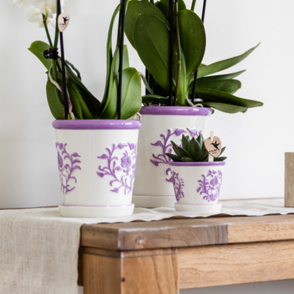 Orchidée violette Vienna + Malaga en pot décoratif Lila - Ø9cm | plante d'intérieur fleurie