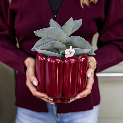 Kolibri Home | Retro Shine decorative pot - Red - Ø12cm